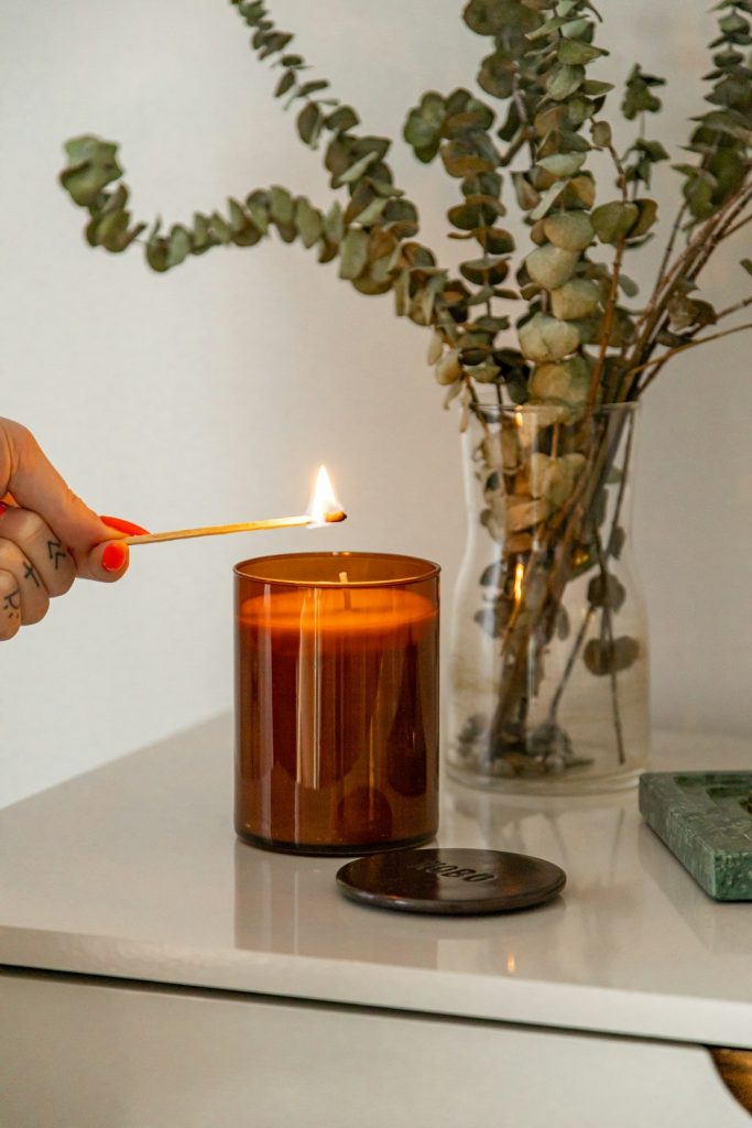 person-holding-lighted-candle-near-green-plant-oaw0ocln52i
